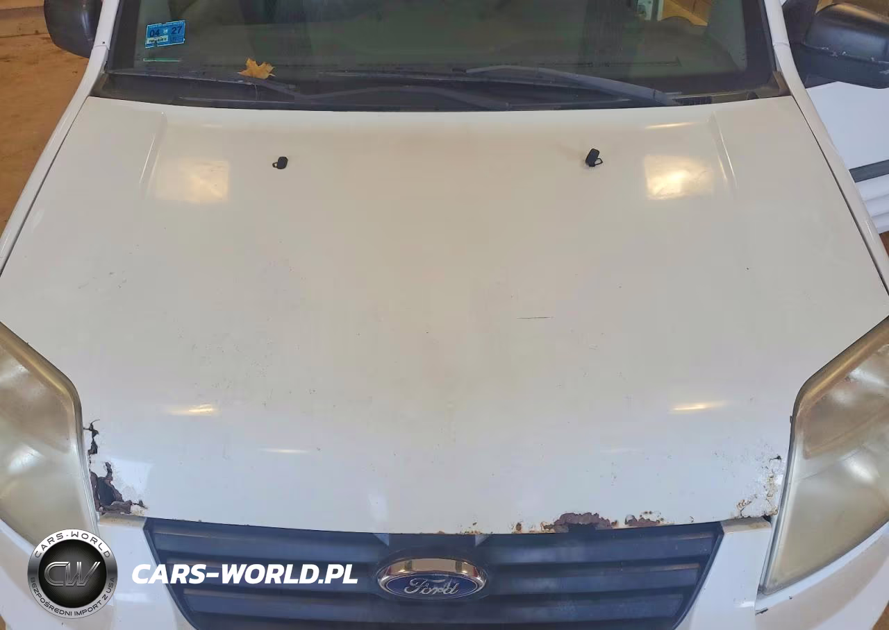 2010 Ford Transit Connect Van VIN:NM0LS6BN9AT040447 - 12