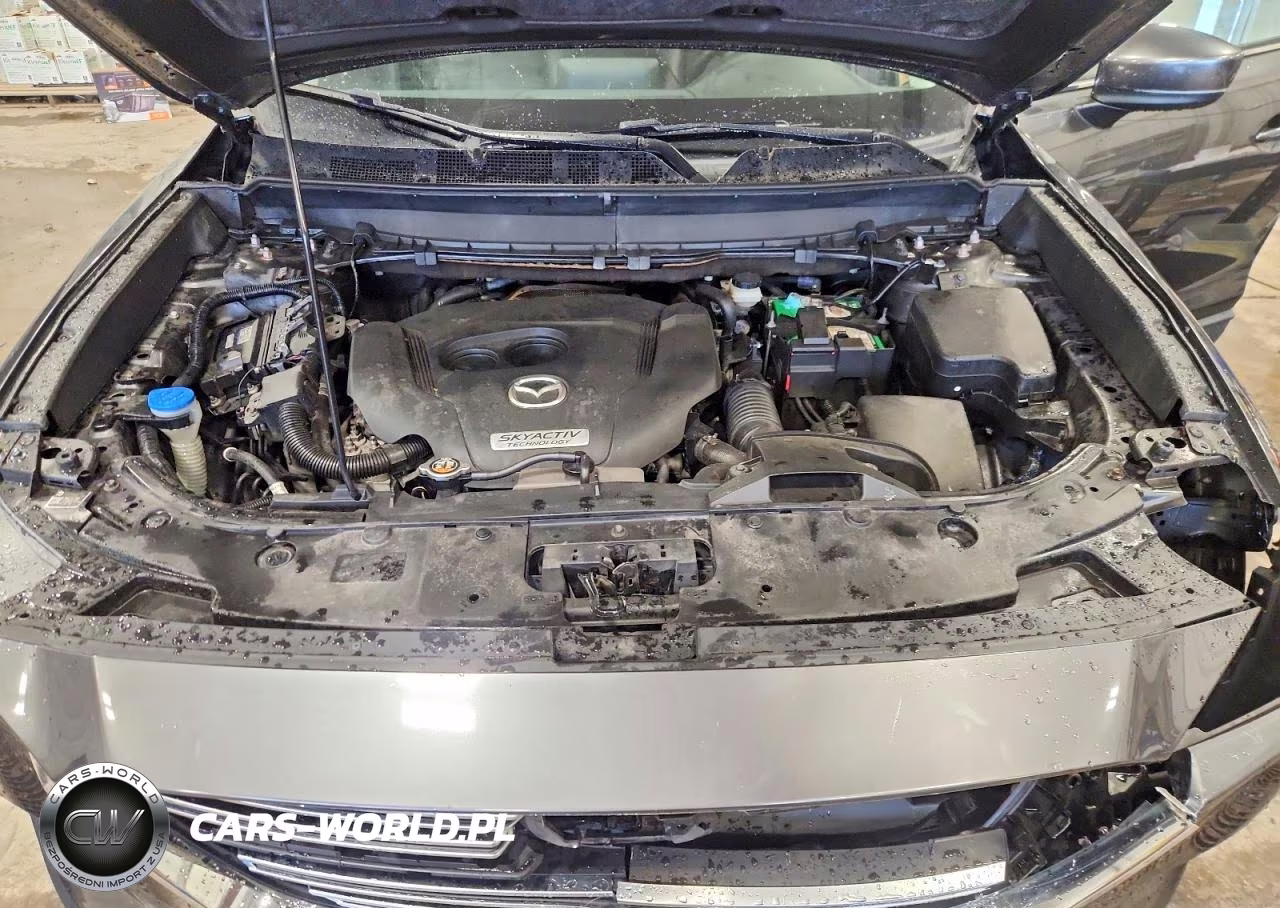 2018 Mazda Cx-9 Touring VIN:JM3TCBCY7J0226448 - 12