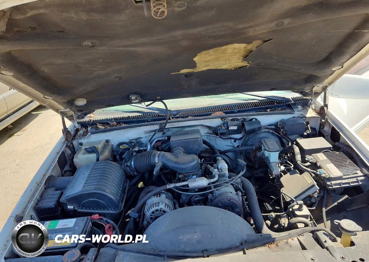 1999 Chev Suburban 1500 Ls 4D VIN:3GNEC16R1XG187383 - 12