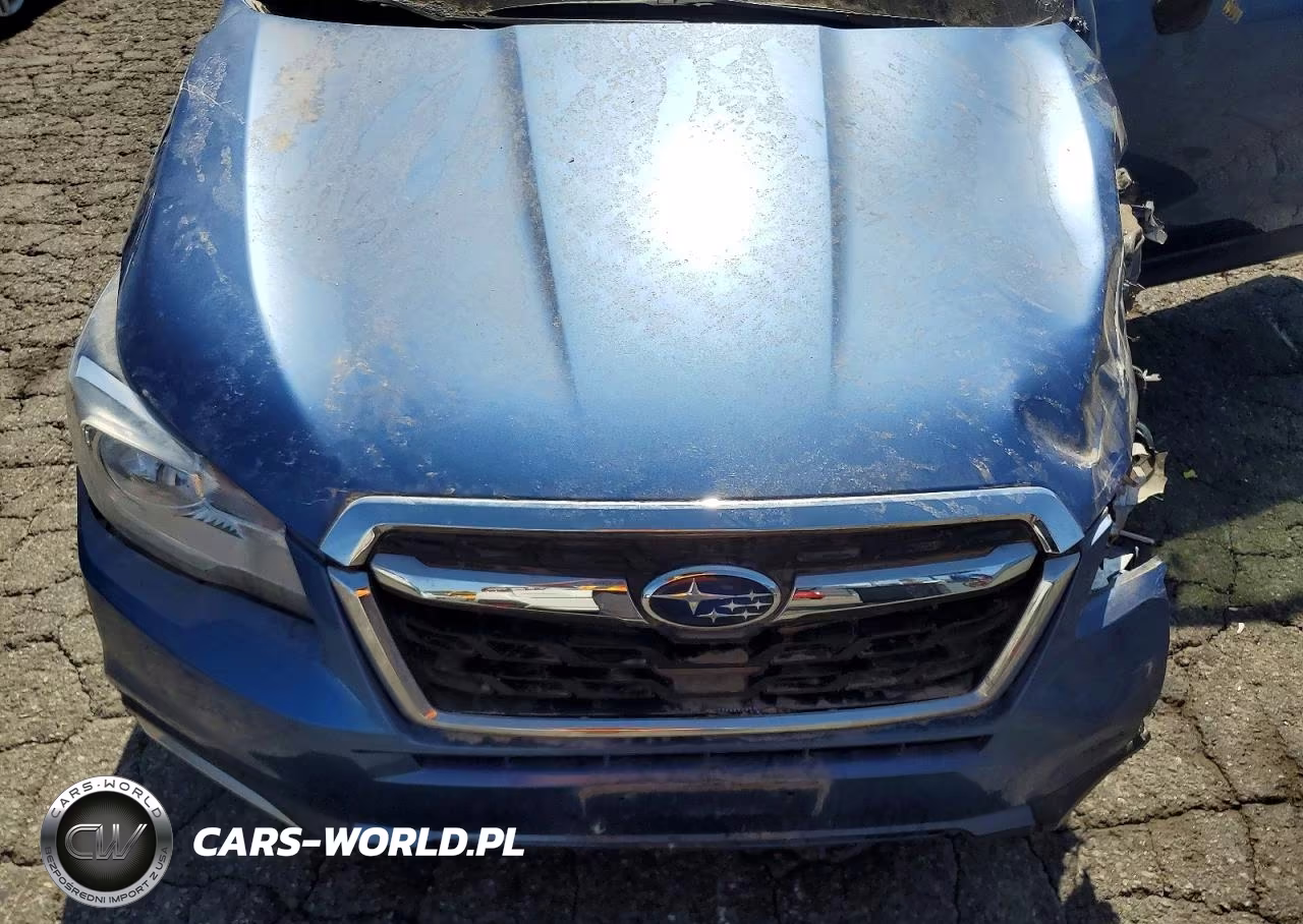 2018 Subaru Forester 2.5I Premium VIN:JF2SJAEC5JH455963 - 12