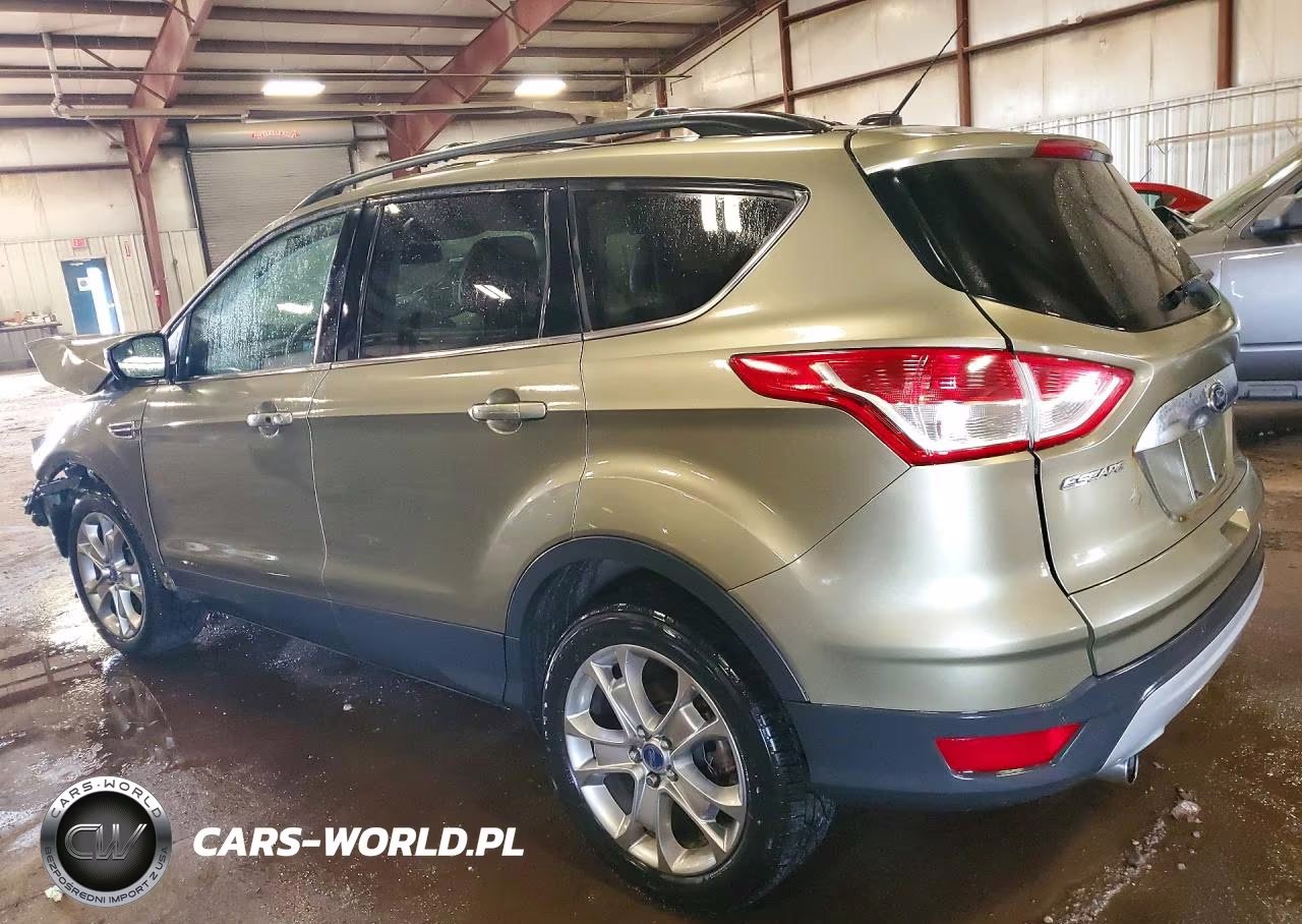 2013 Ford Escape Sel VIN:1FMCU0H94DUA95841 - 2