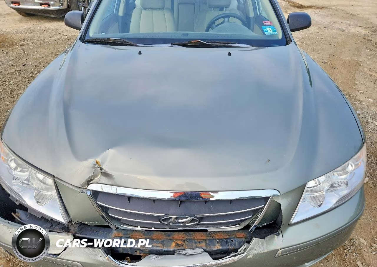 2010 Hyundai Sonata Gls VIN:5NPET4AC6AH645351 - 11