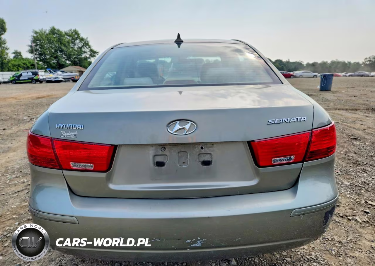 2010 Hyundai Sonata Gls VIN:5NPET4AC6AH645351 - 6