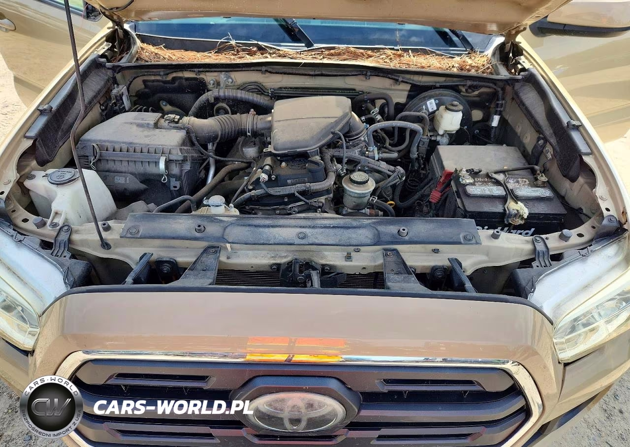 2019 Toyota Tacoma Sr5 VIN:5TFRX5GN2KX138845 - 11