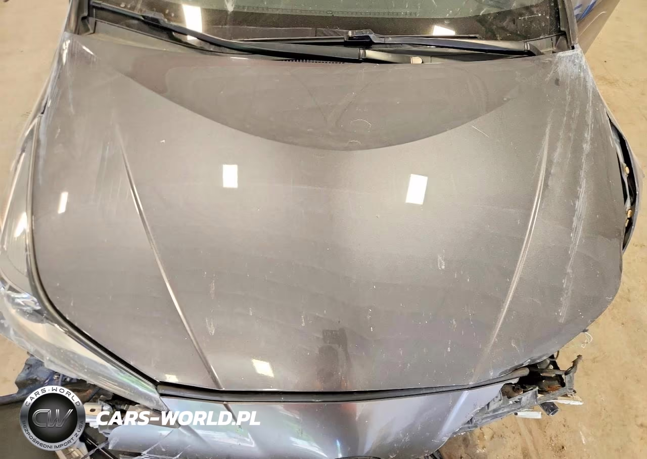 2019 Toyota Prius Xle Awd-E VIN:JTDL9RFU0K3001202 - 11