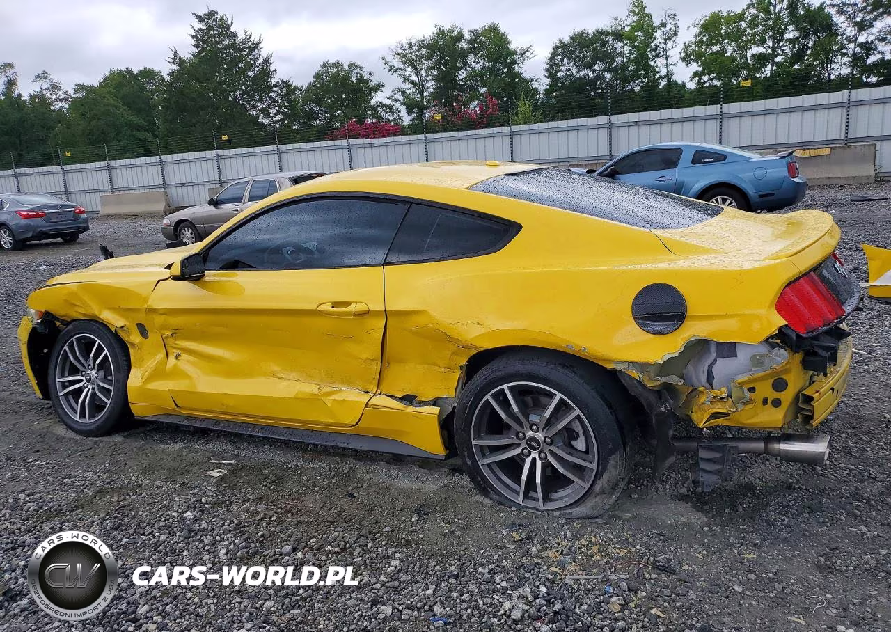 2017 Ford Mustang VIN:1FA6P8TH2H5245229 - 2
