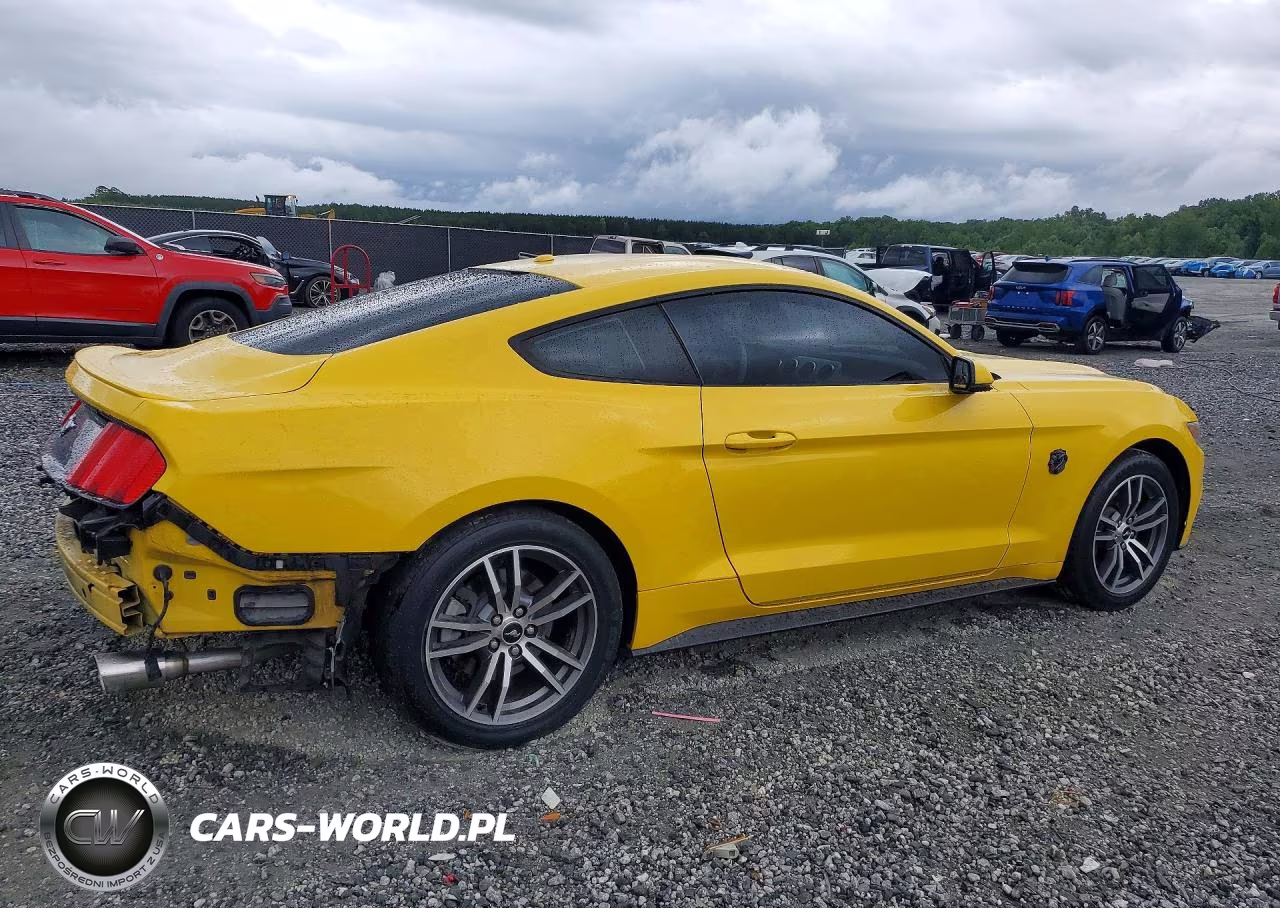 2017 Ford Mustang VIN:1FA6P8TH2H5245229 - 3