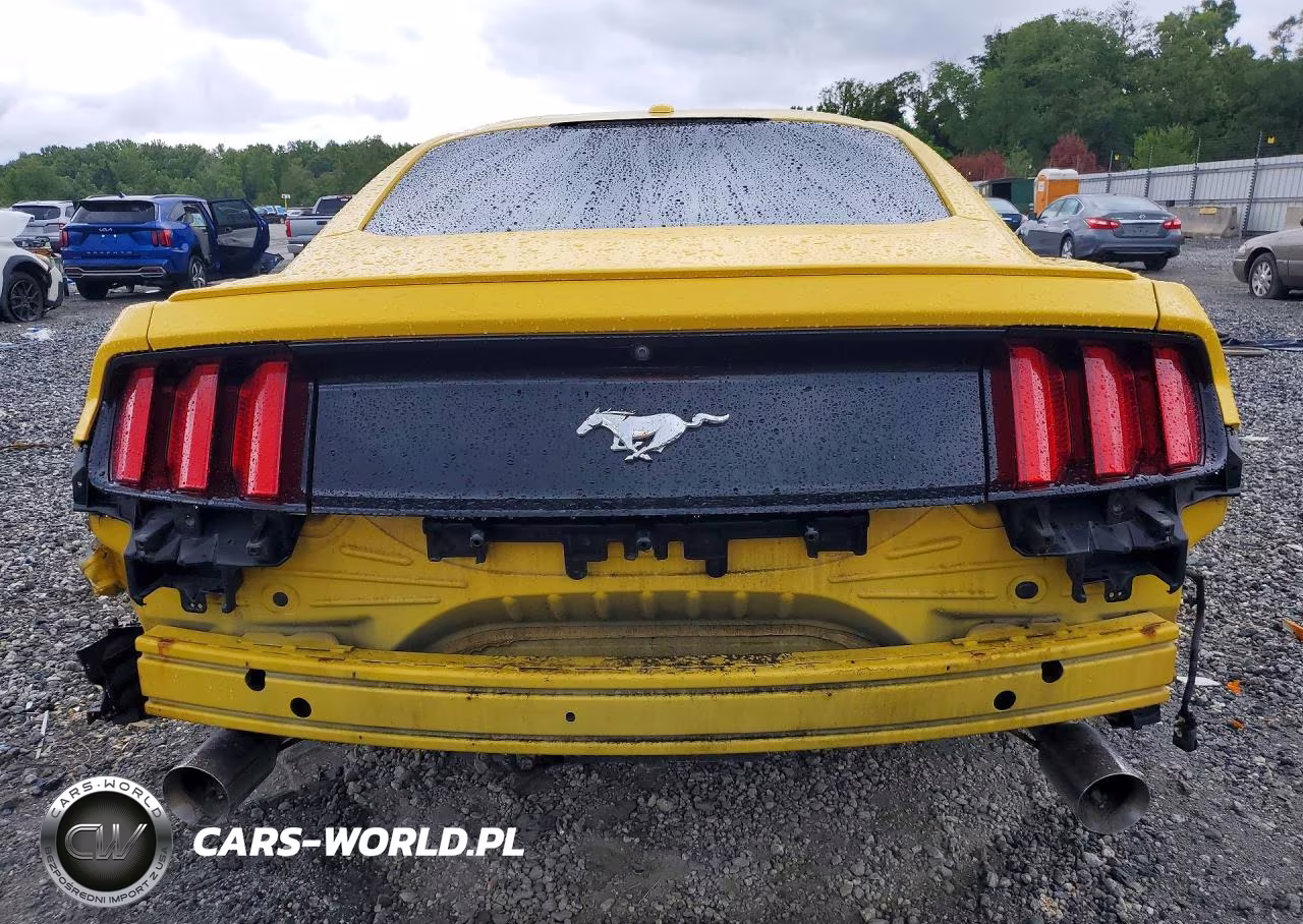 2017 Ford Mustang VIN:1FA6P8TH2H5245229 - 6