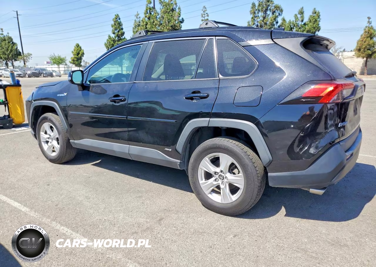 2021 Toyota Rav4 Le VIN:2T3MWRFV1MW113075 - 2