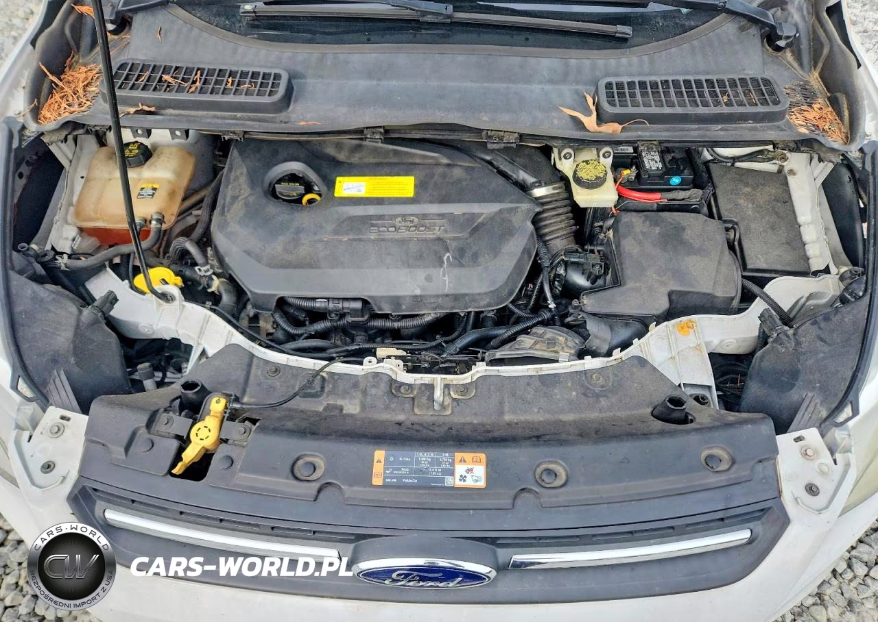 2013 Ford Escape Se VIN:1FMCU0GX9DUD95228 - 12