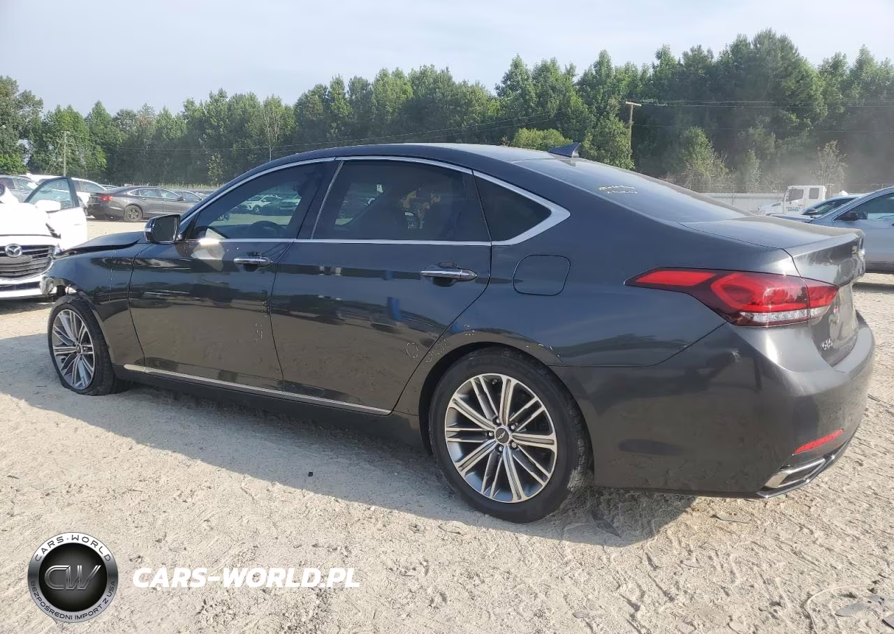 2018 Genesis G80 Base VIN:KMHGN4JE4JU234634 - 2