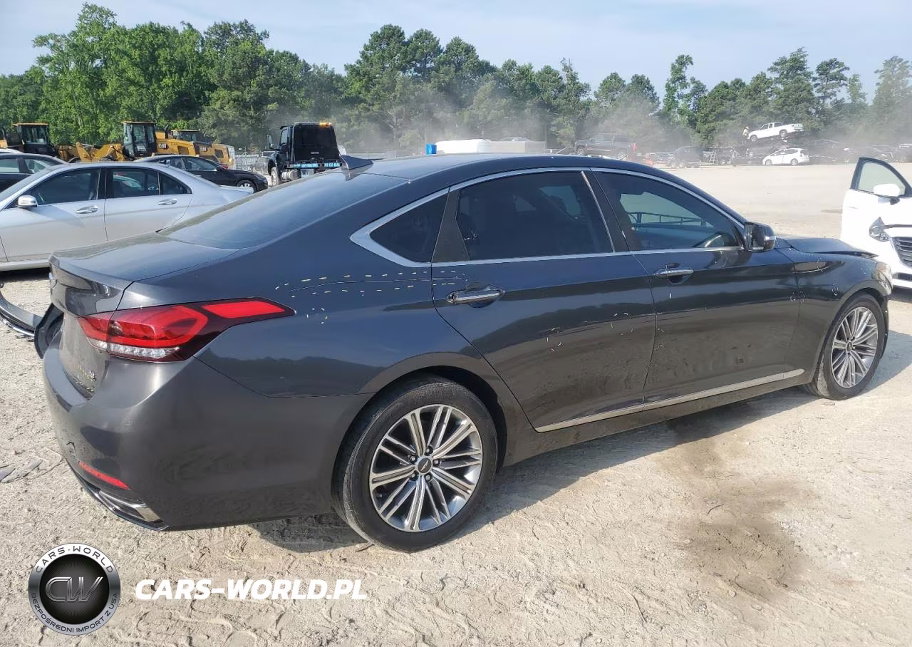 2018 Genesis G80 Base VIN:KMHGN4JE4JU234634 - 3