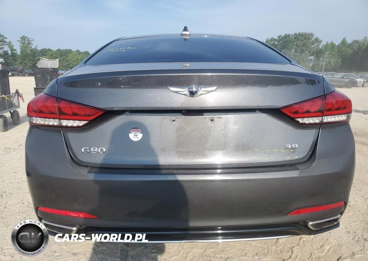 2018 Genesis G80 Base VIN:KMHGN4JE4JU234634 - 6
