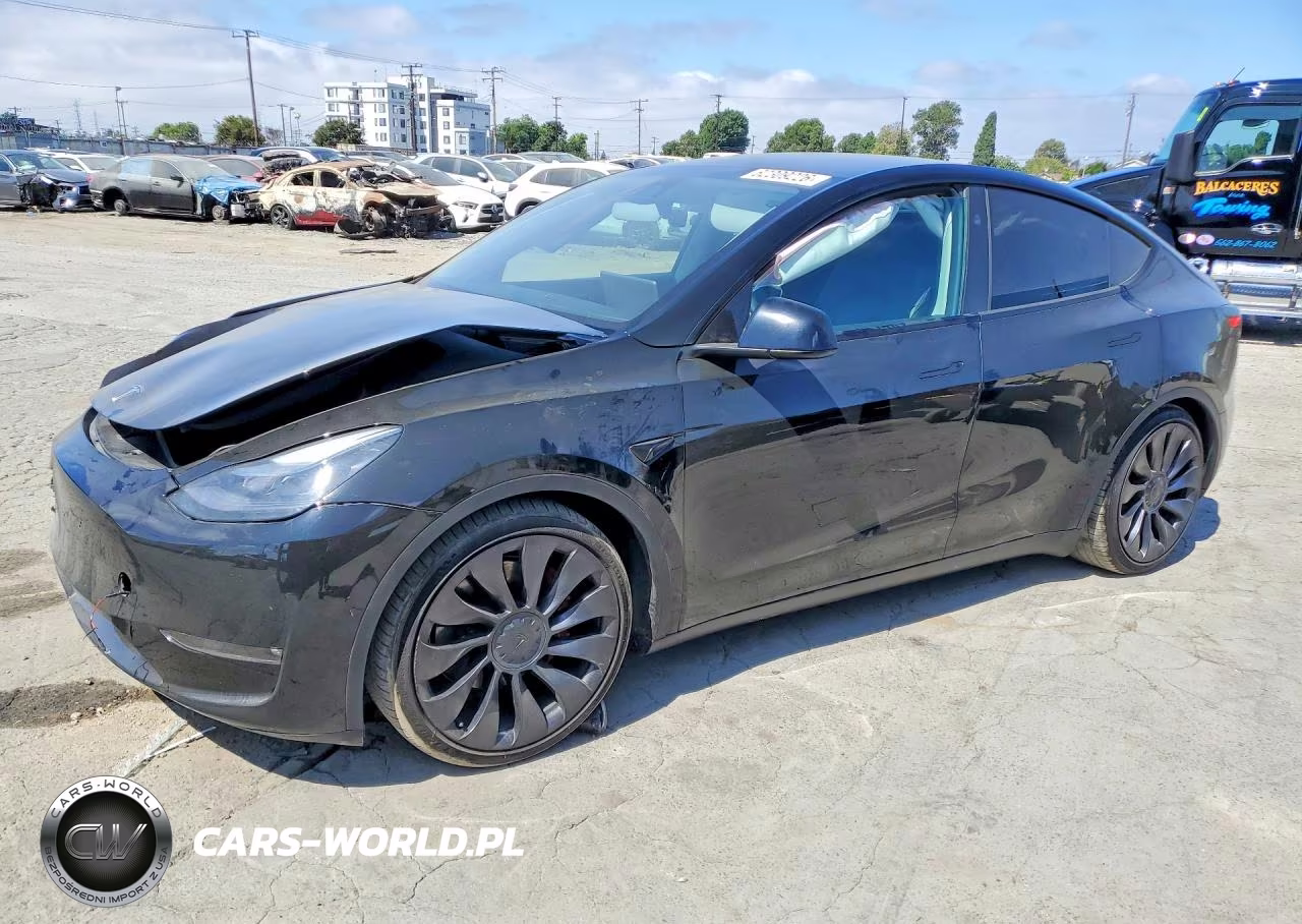 2024 Tesla Model Y VIN:7SAYGDEF5RF035301 - 1
