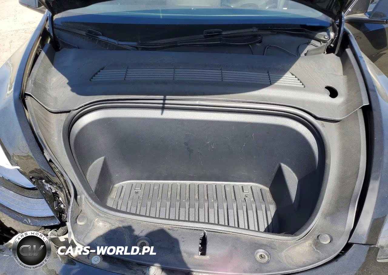 2024 Tesla Model Y VIN:7SAYGDEF5RF035301 - 11