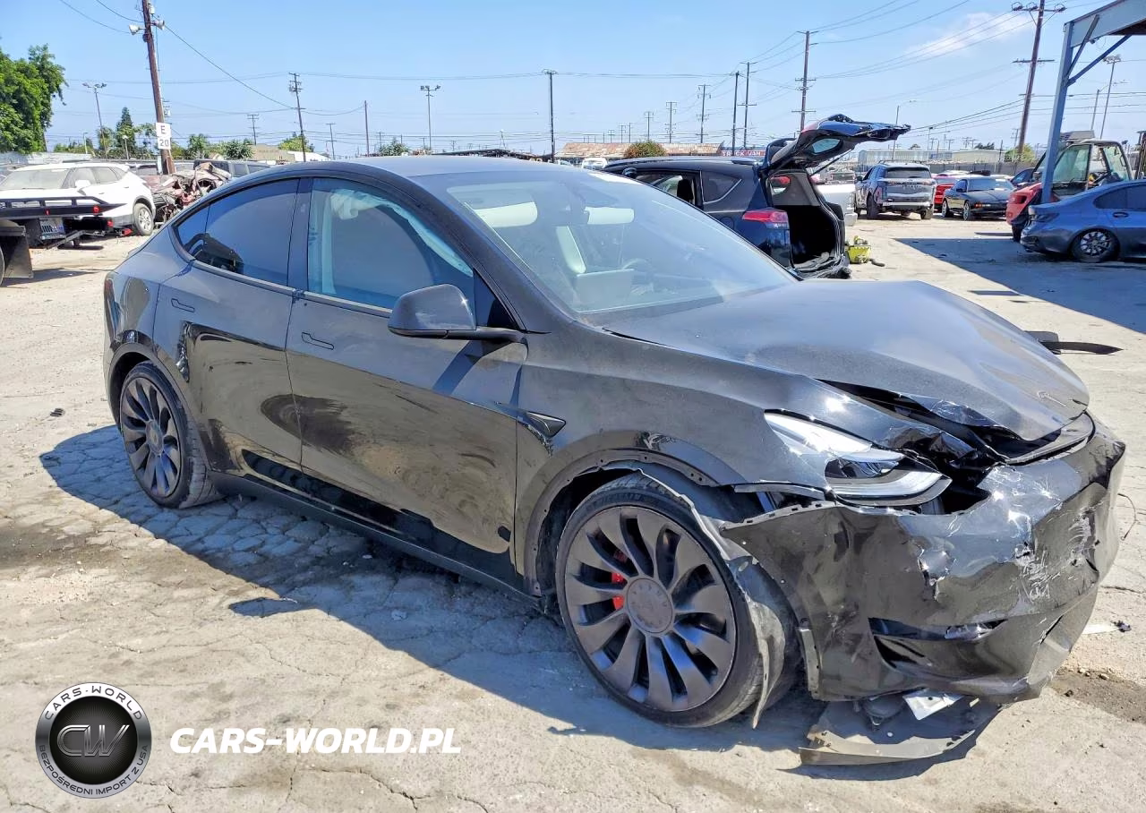 2024 Tesla Model Y VIN:7SAYGDEF5RF035301 - 4