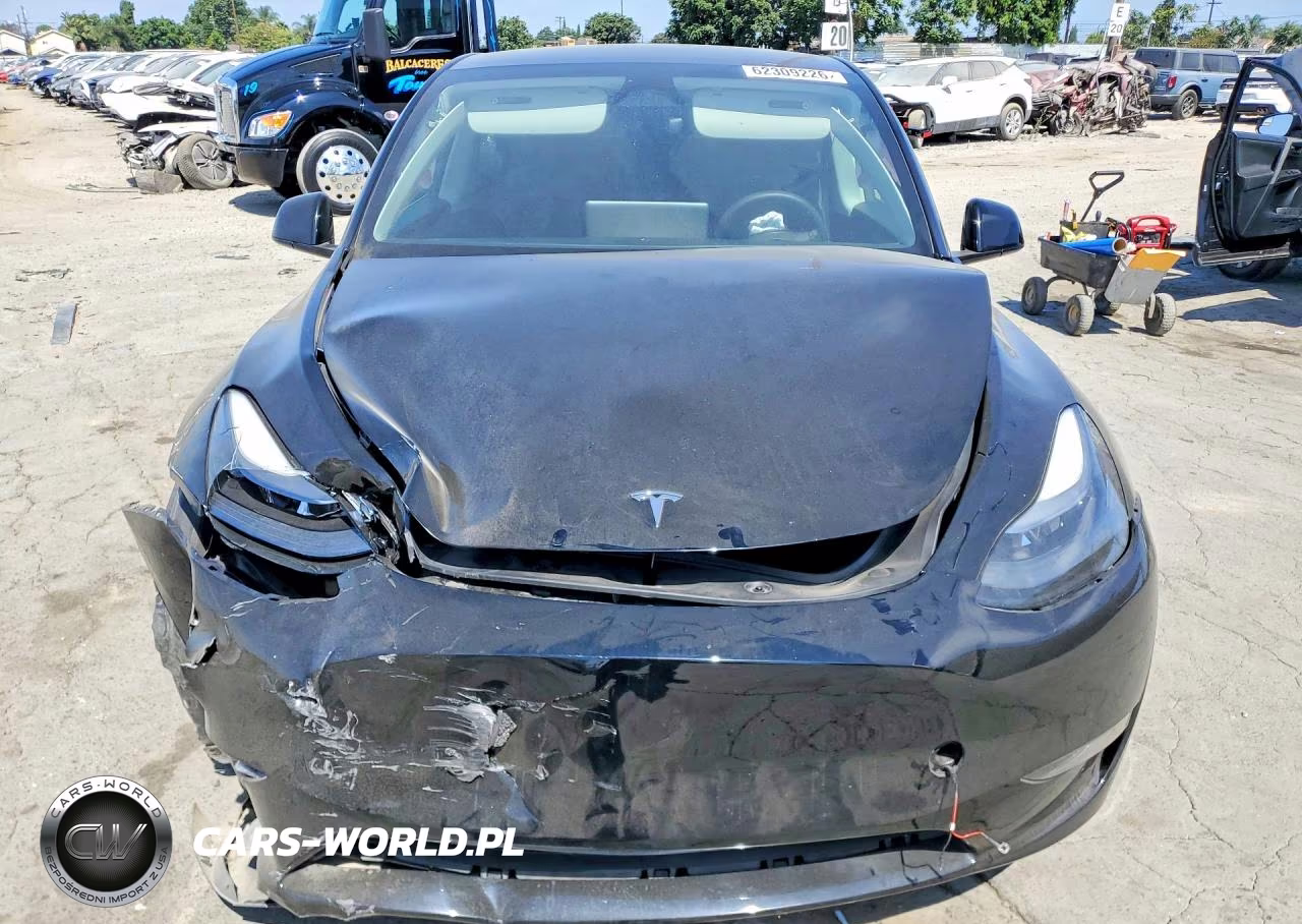 2024 Tesla Model Y VIN:7SAYGDEF5RF035301 - 5