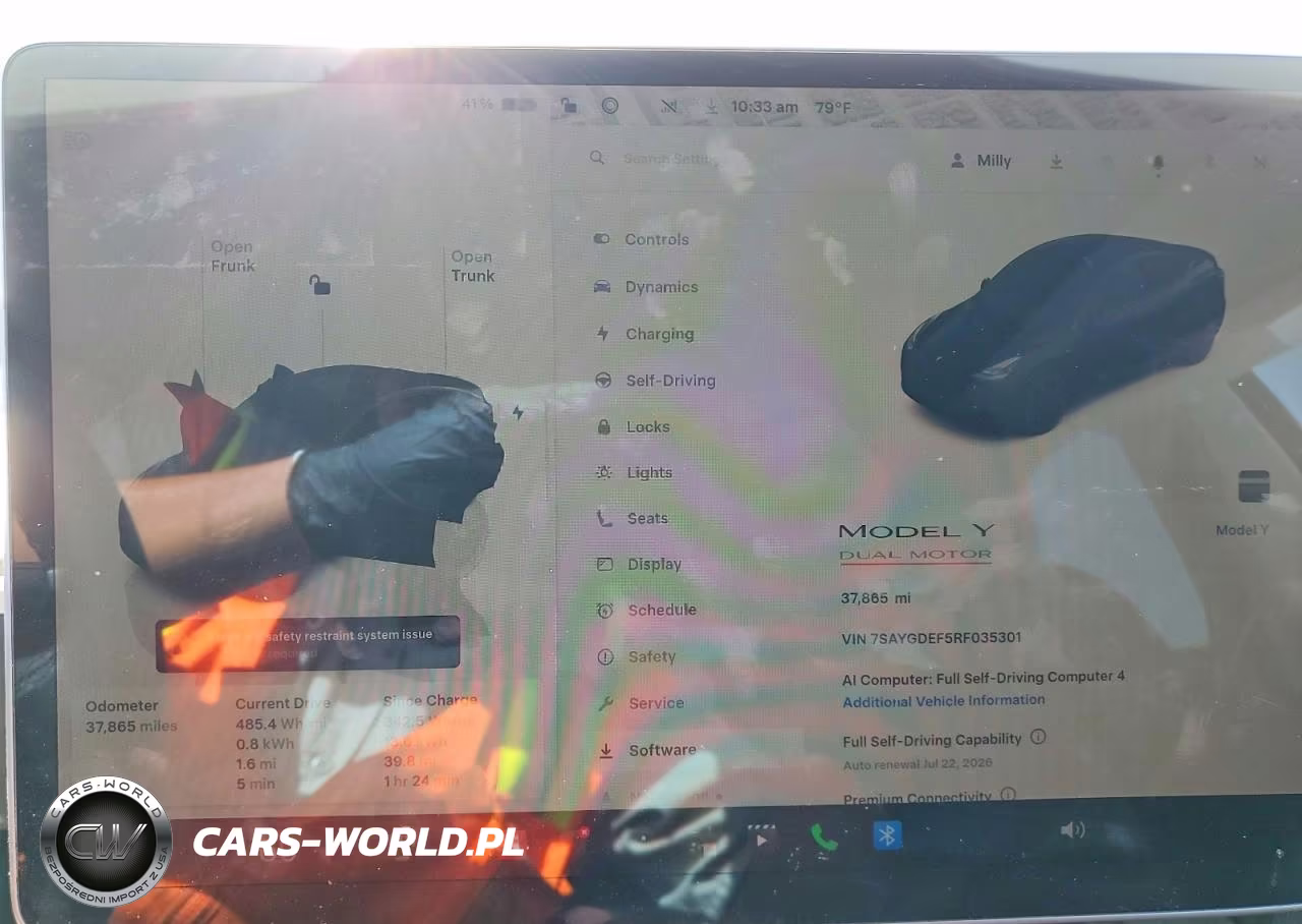 2024 Tesla Model Y VIN:7SAYGDEF5RF035301 - 9