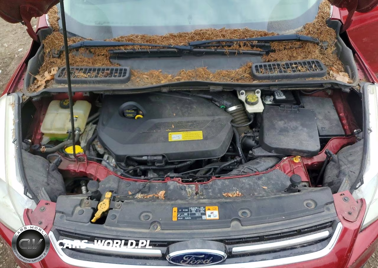 2013 Ford Escape Sel VIN:1FMCU9HX0DUB35724 - 12