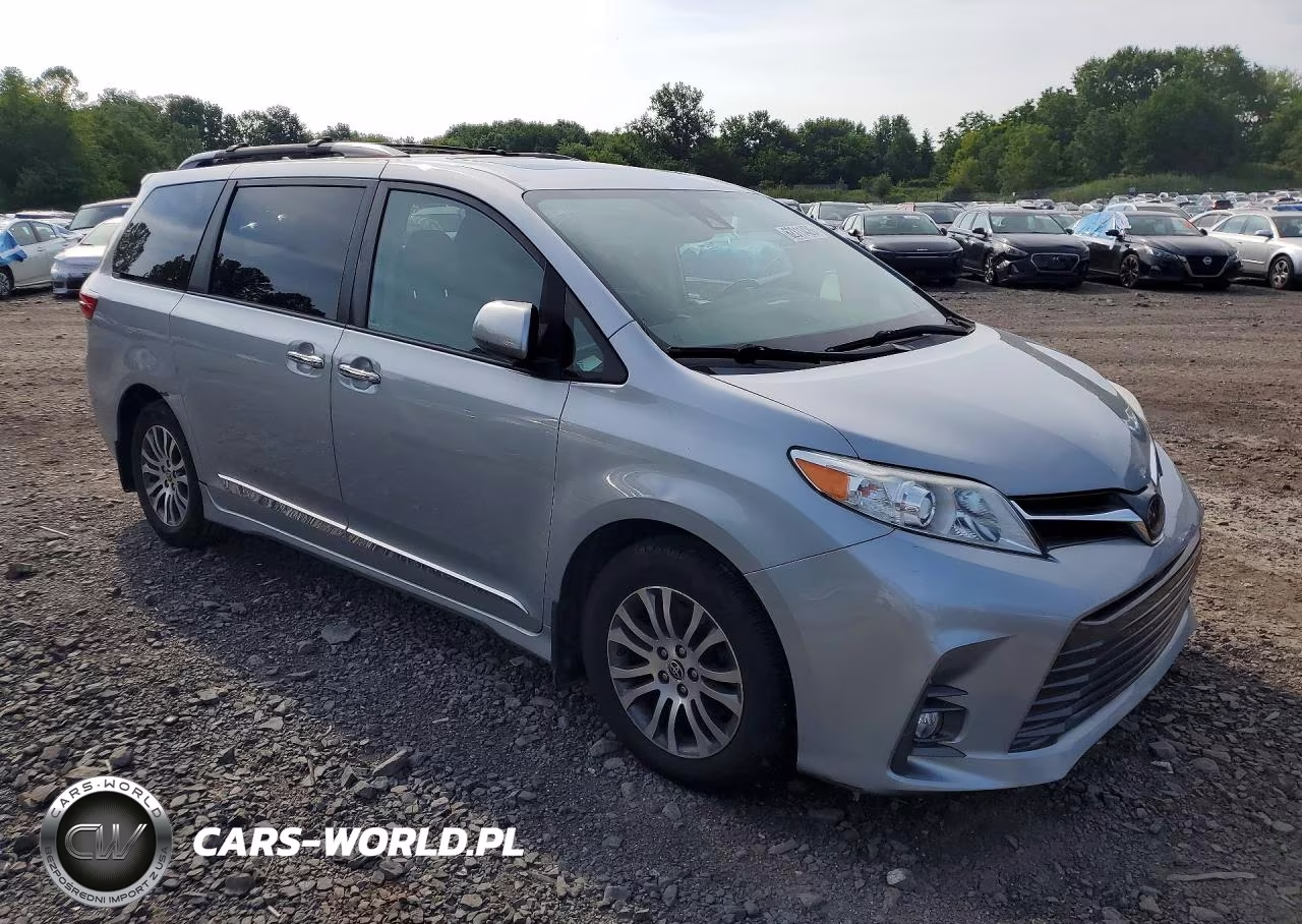 2020 Toyota Sienna Xle 8-Passenger VIN:5TDYZ3DC4LS079155 - 4