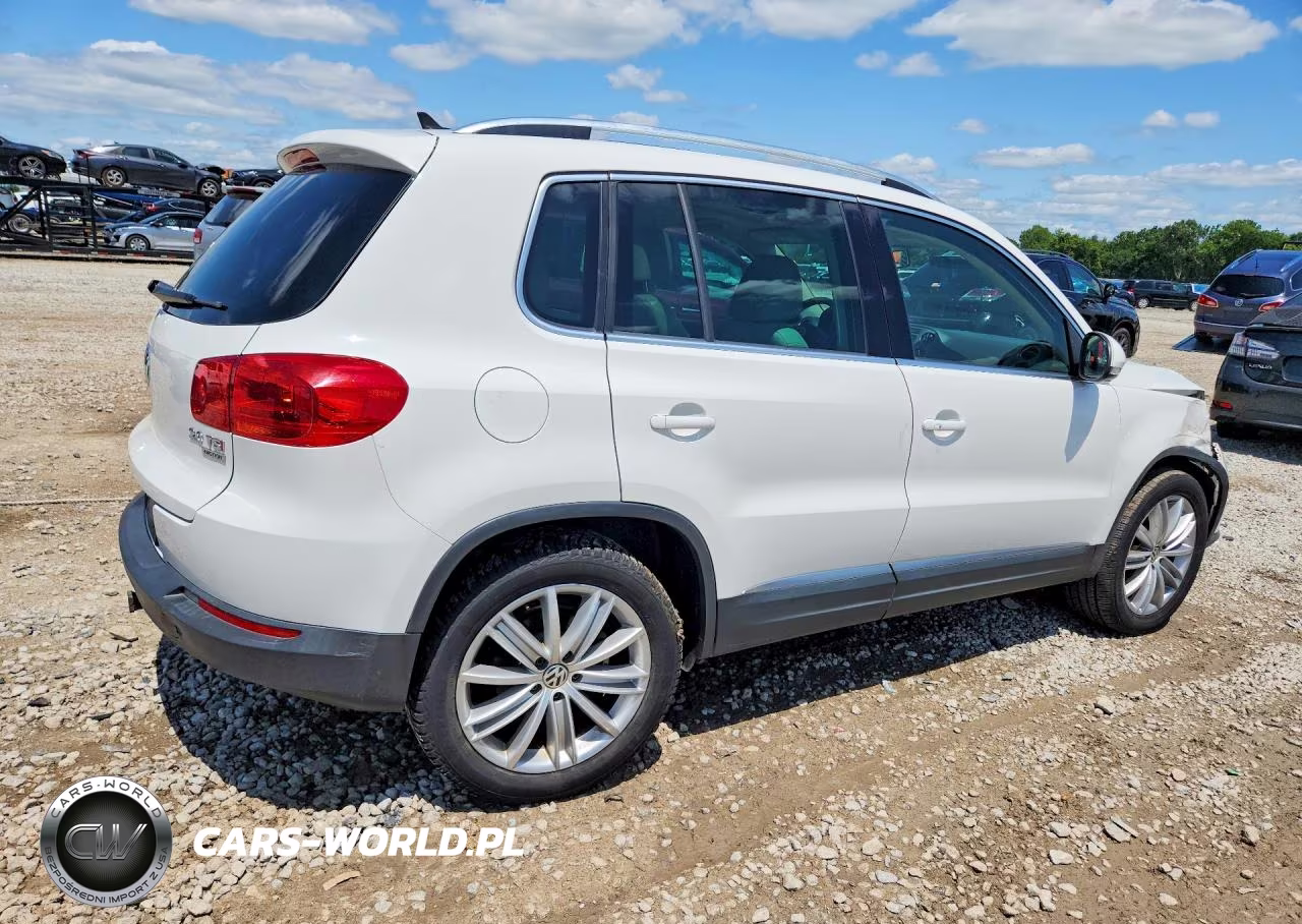 2014 Volkswagen Tiguan S VIN:WVGBV3AXXEW533092 - 3