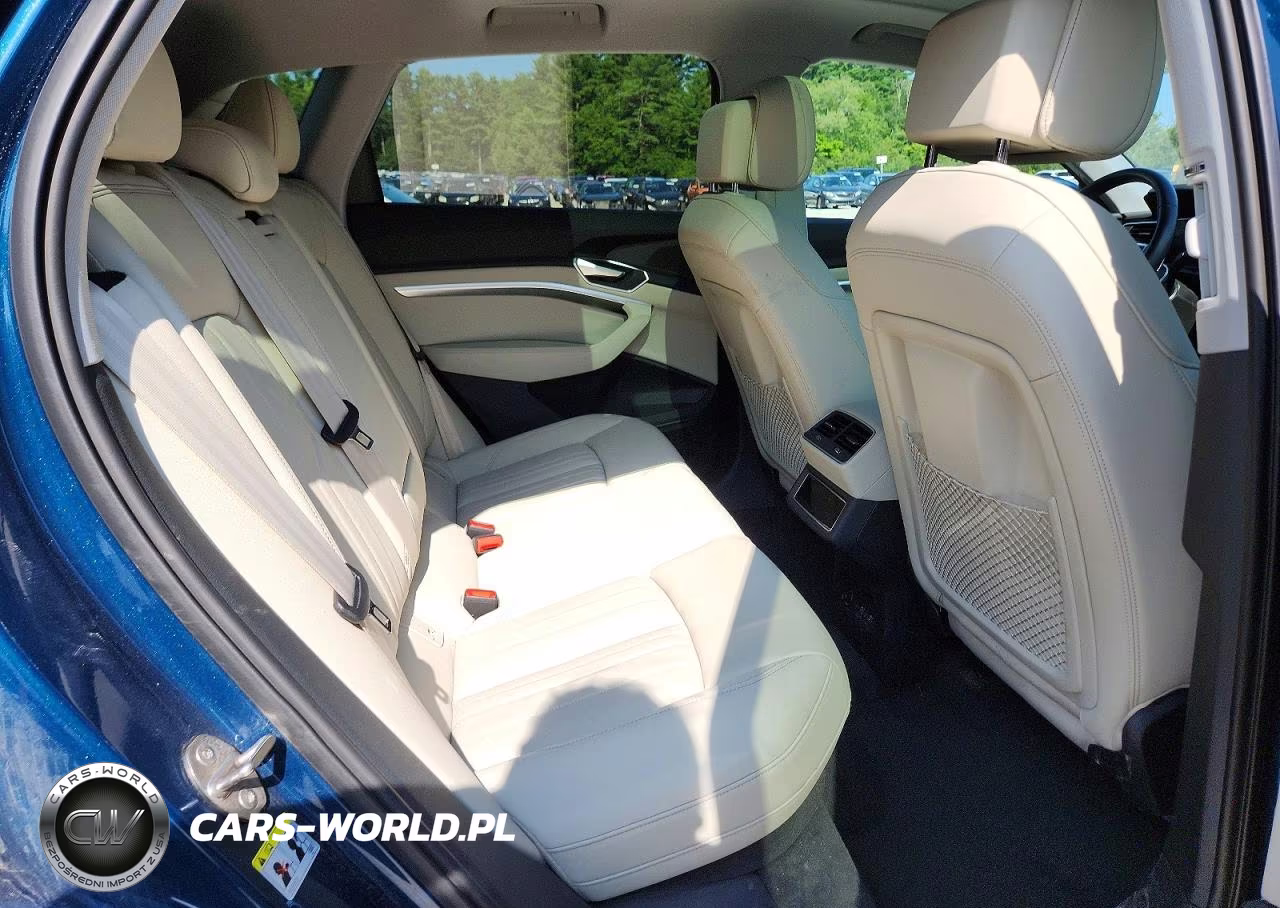 2021 Audi E-Tron Premium VIN:WA1AAAGE8MB038315 - 11