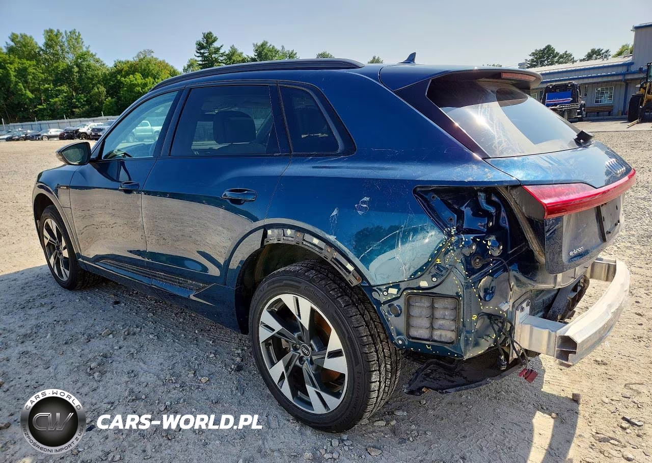 2021 Audi E-Tron Premium VIN:WA1AAAGE8MB038315 - 2