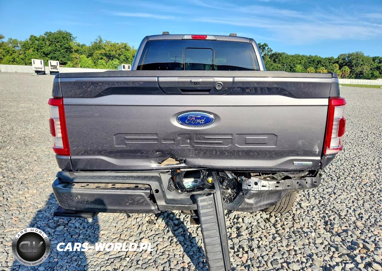 2023 Ford F150 Supercrew VIN:1FTFW1E81PFC16671 - 6