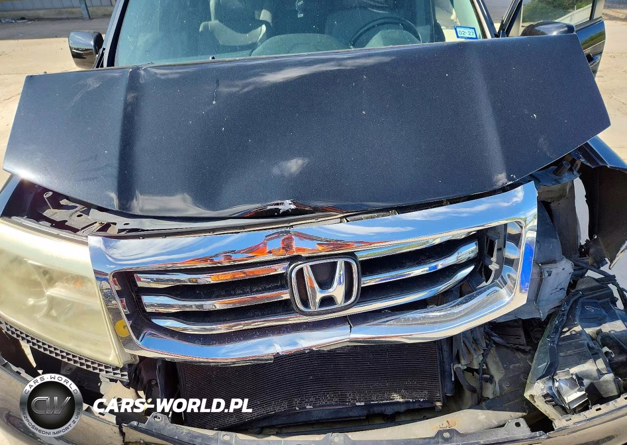 2014 Honda Pilot Exl VIN:5FNYF3H59EB022445 - 11