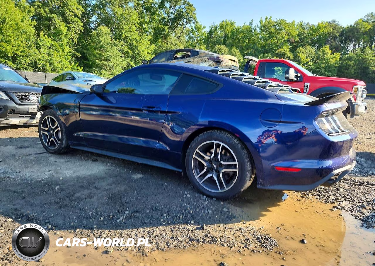 2020 Ford Mustang Gt VIN:1FA6P8CF0L5122780 - 2