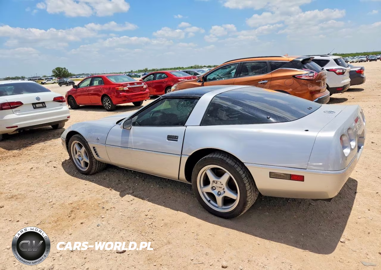 1996 Chevrolet Corvette VIN:1G1YY2251T5103251 - 2