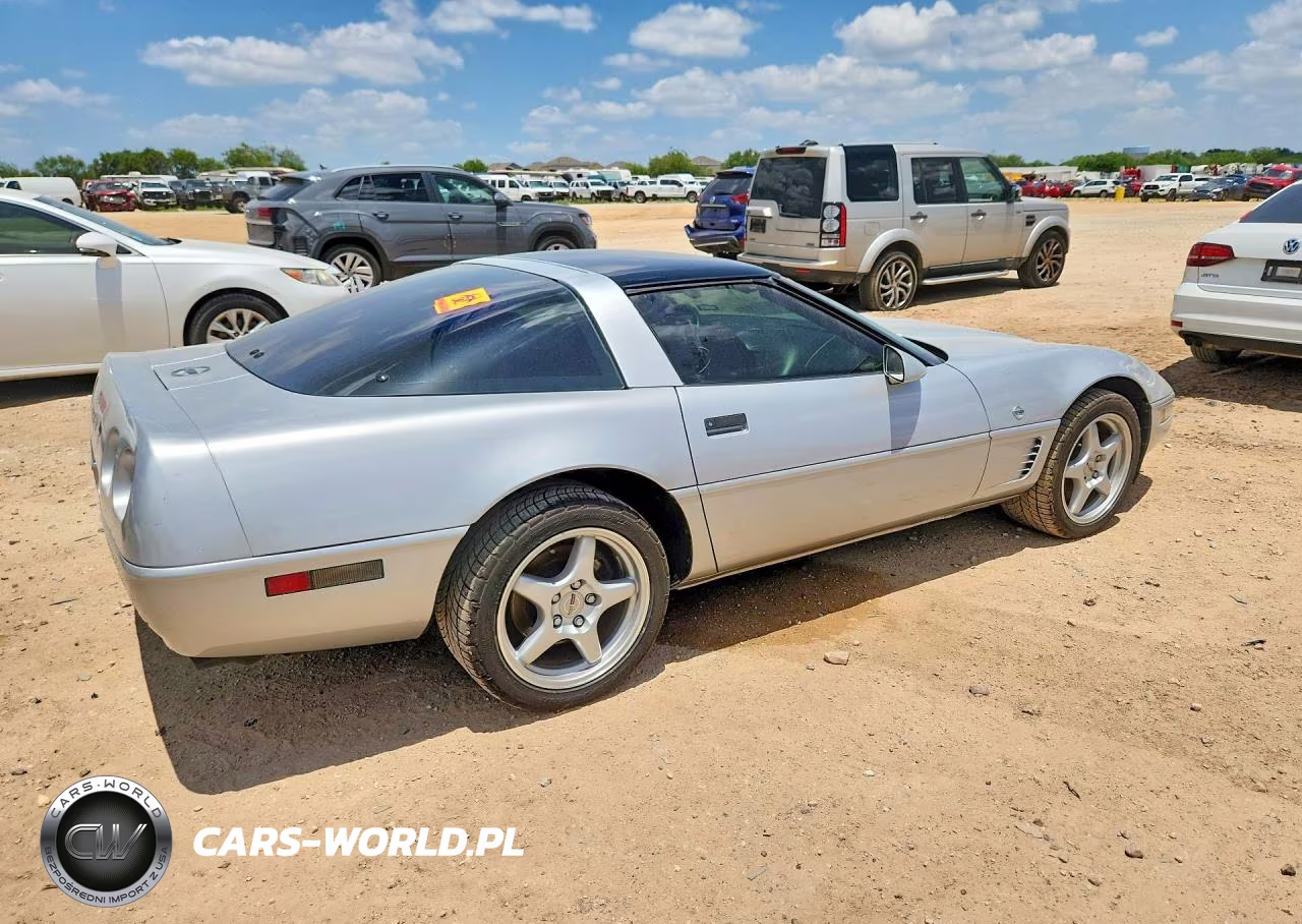 1996 Chevrolet Corvette VIN:1G1YY2251T5103251 - 3