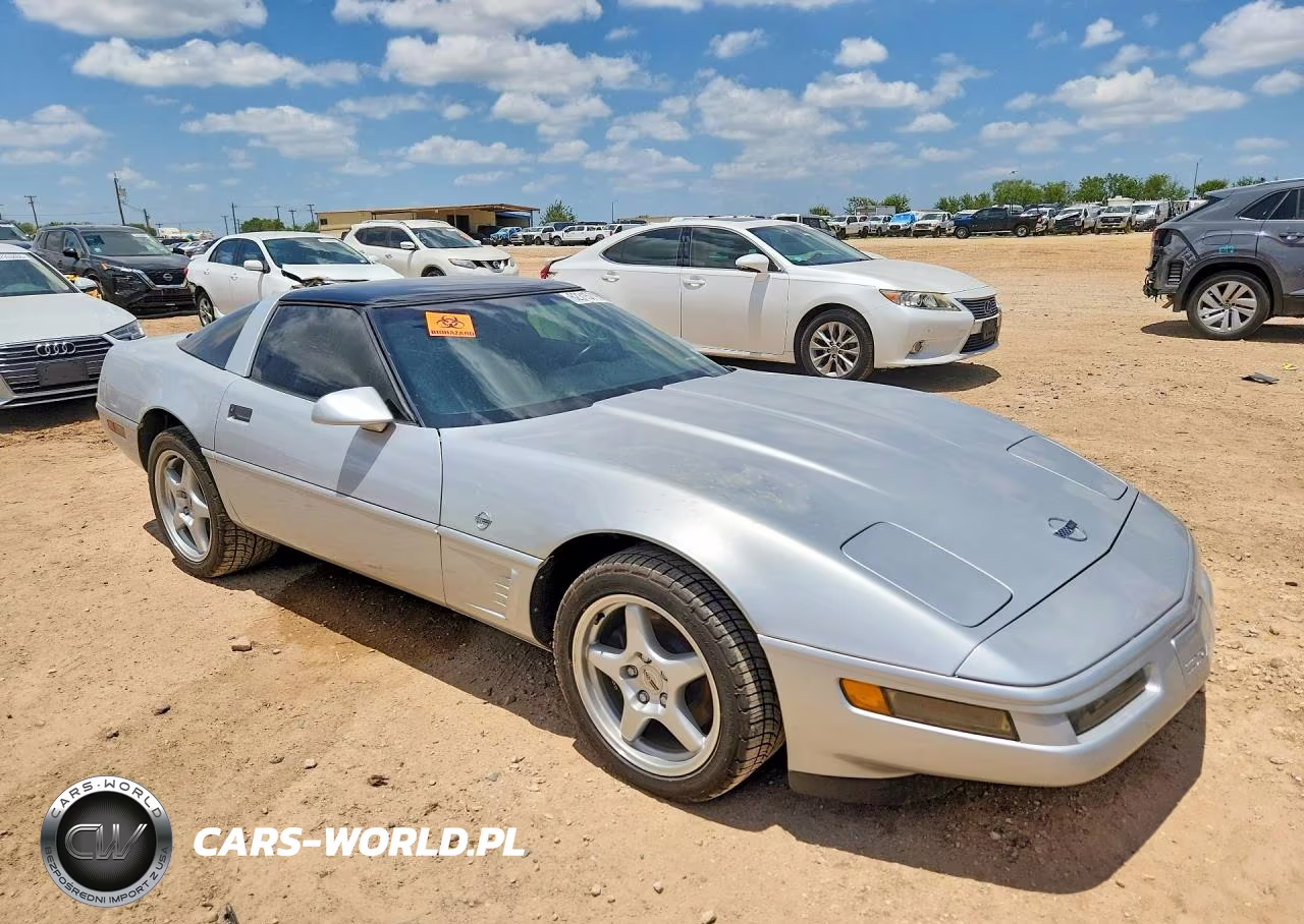 1996 Chevrolet Corvette VIN:1G1YY2251T5103251 - 4