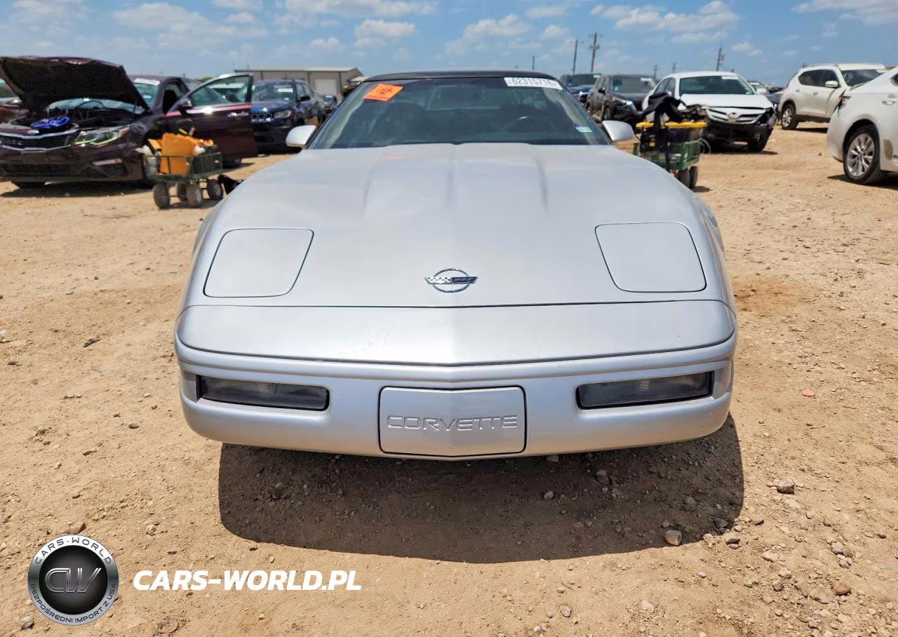 1996 Chevrolet Corvette VIN:1G1YY2251T5103251 - 5