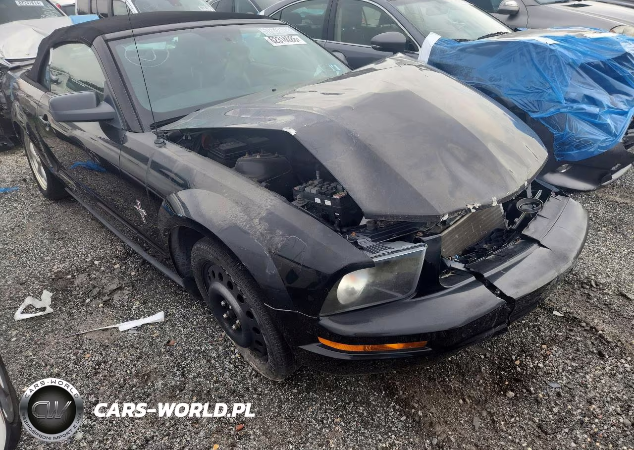 2007 Ford Mustang VIN:1ZVHT84N775355921 - 4