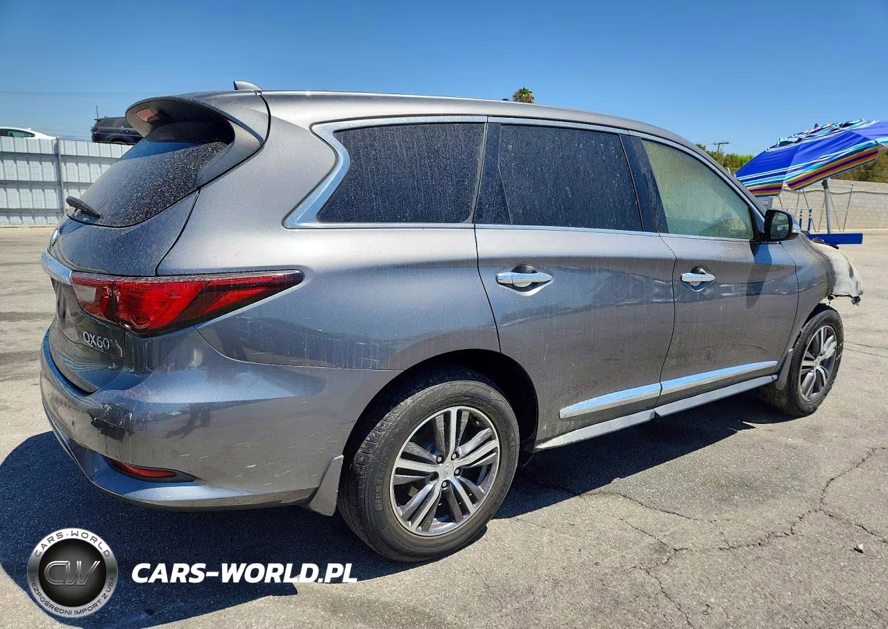 2019 Infiniti Qx60 Pure VIN:5N1DL0MN6KC560956 - 3