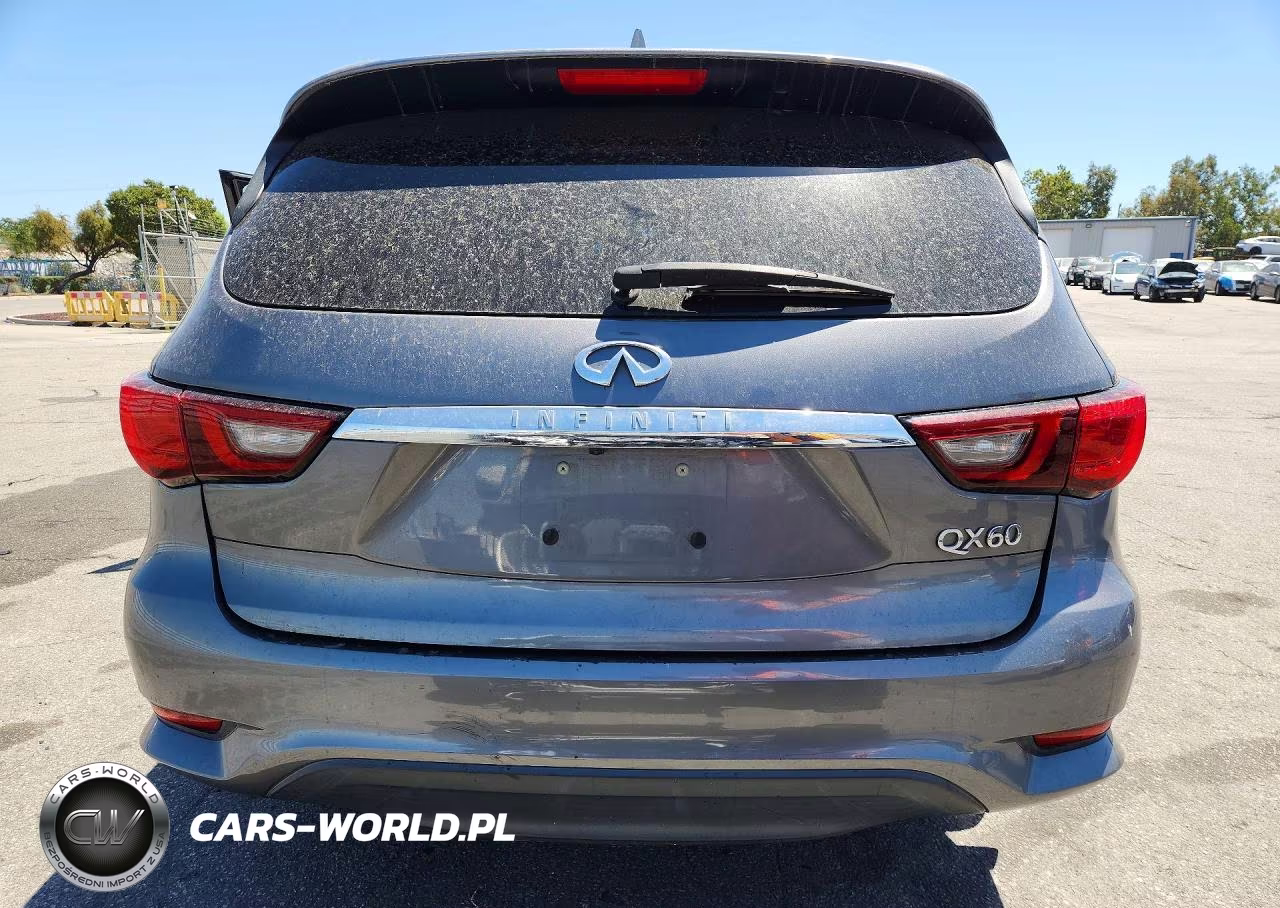 2019 Infiniti Qx60 Pure VIN:5N1DL0MN6KC560956 - 6