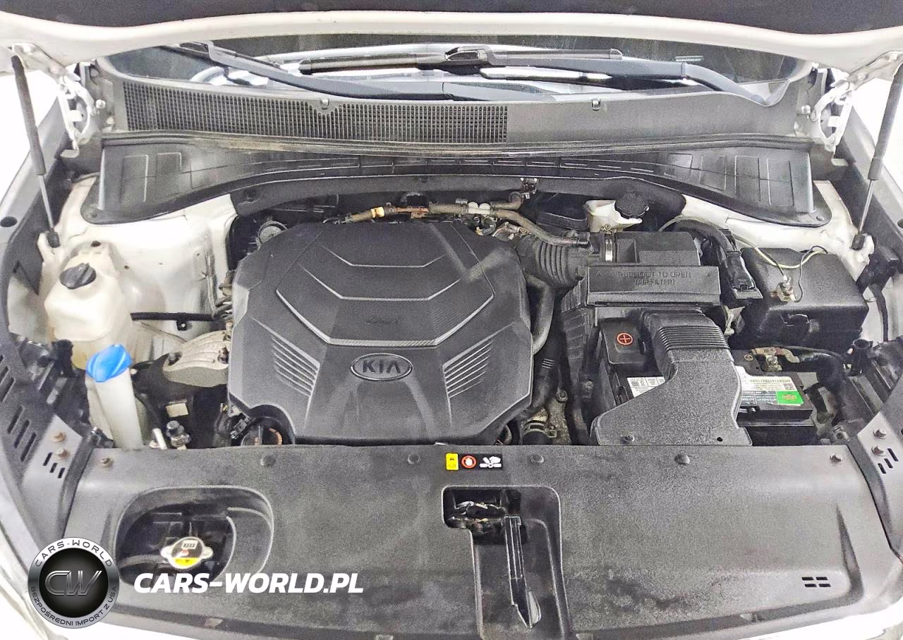 2019 Kia Sorento Lx V6 VIN:5XYPG4A56KG446131 - 12