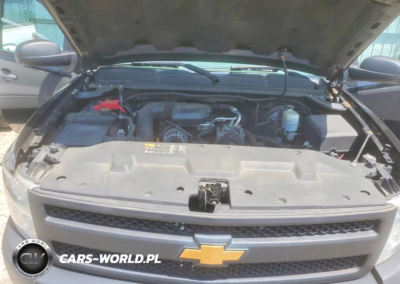 2013 Chevrolet Silverado C1500 VIN:1GCNCPEX3DZ399063 - 11