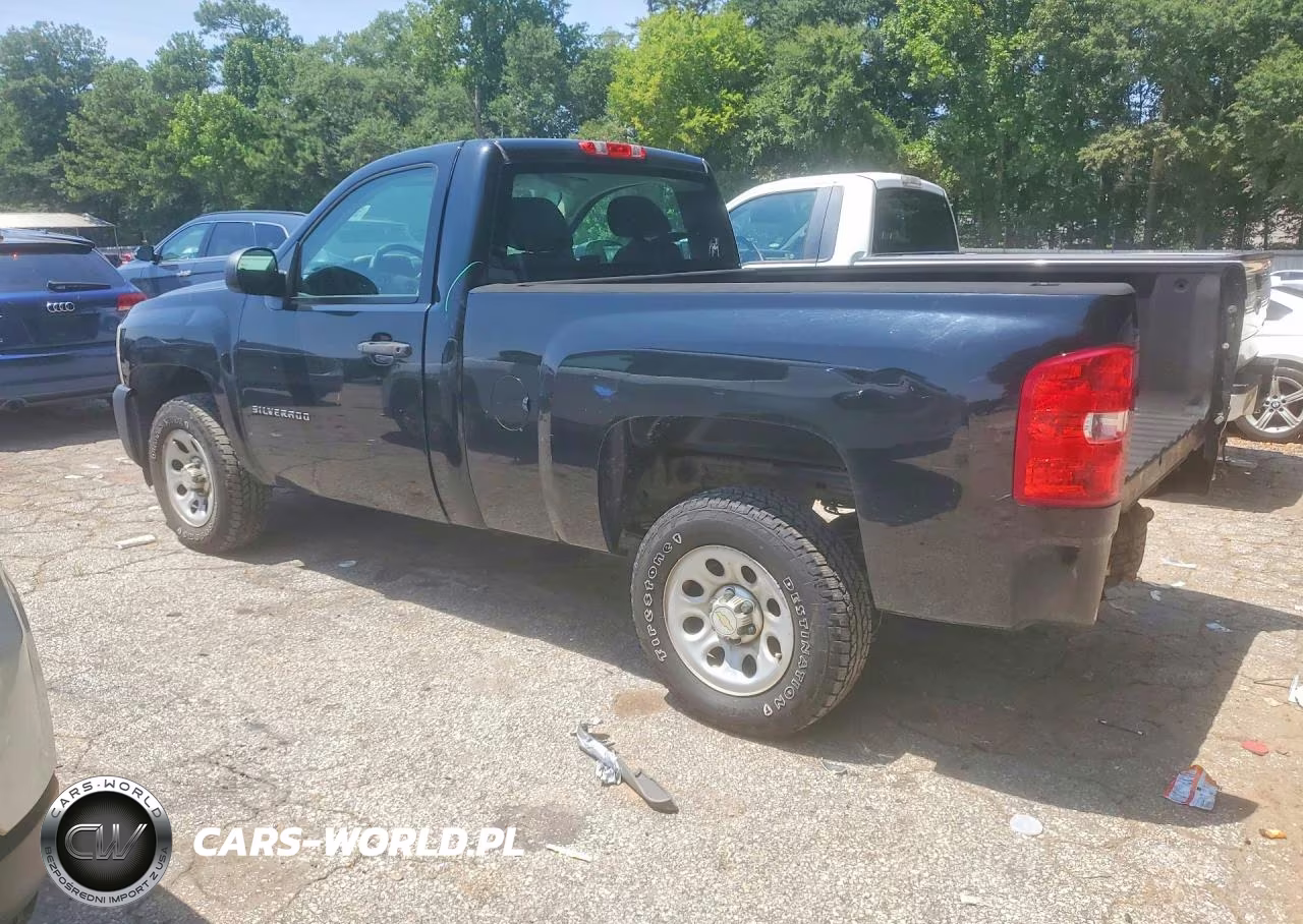 2013 Chevrolet Silverado C1500 VIN:1GCNCPEX3DZ399063 - 2