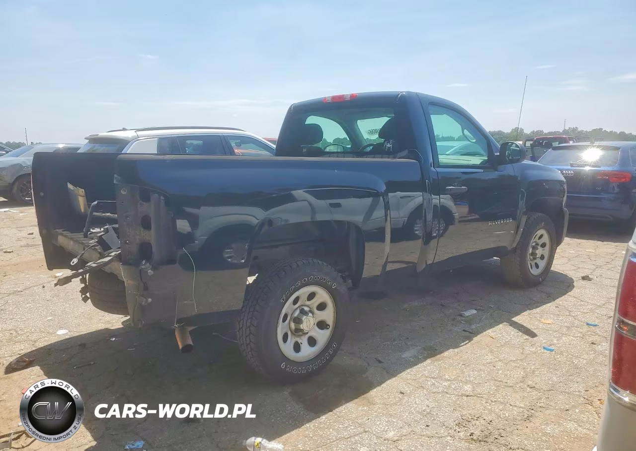 2013 Chevrolet Silverado C1500 VIN:1GCNCPEX3DZ399063 - 3