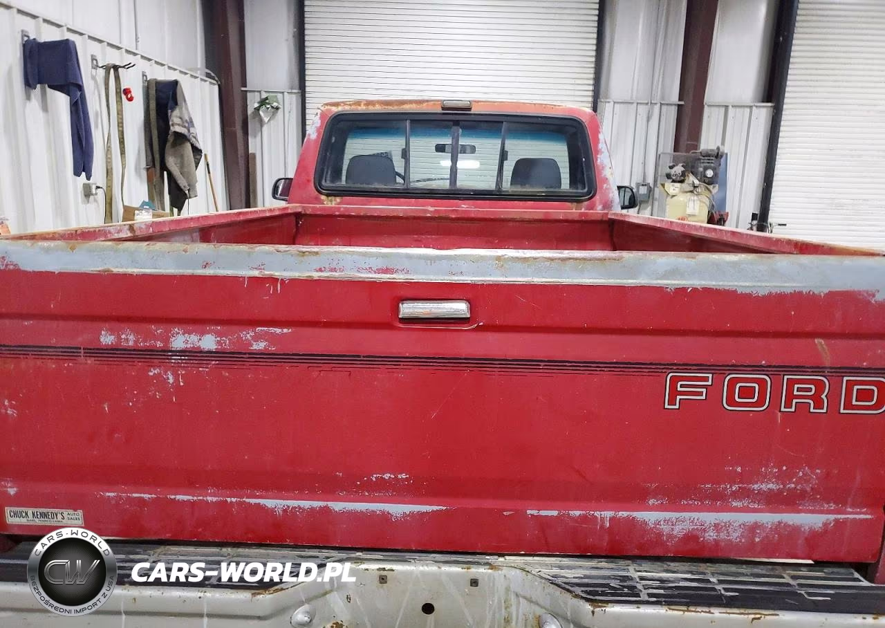 1992 Ford F150 VIN:1FTEF15Y7NNB06738 - 10