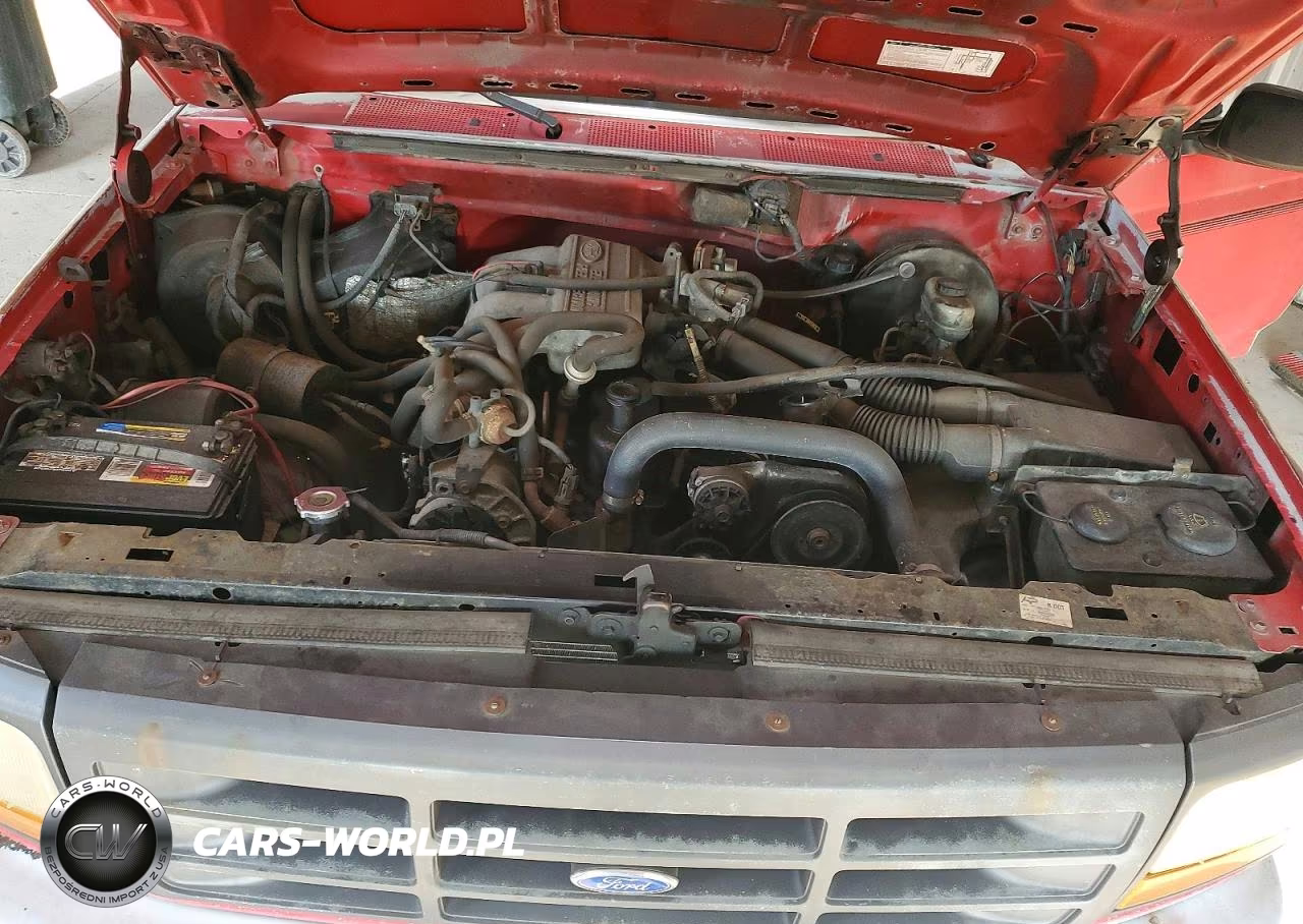 1992 Ford F150 VIN:1FTEF15Y7NNB06738 - 11