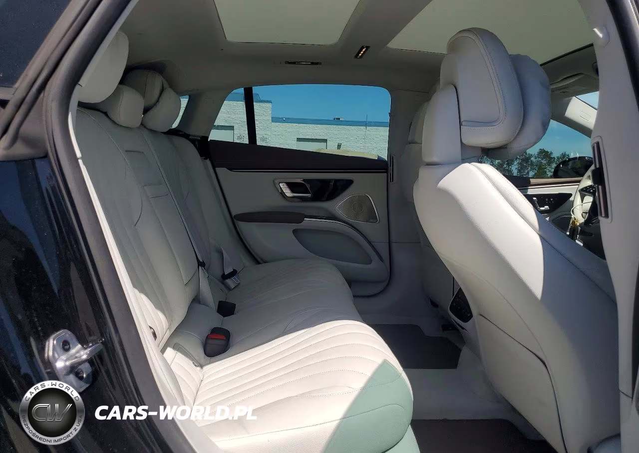 2022 Mercedes-Benz Eqs Sedan 450+ VIN:W1KCG2DB0NA004976 - 10