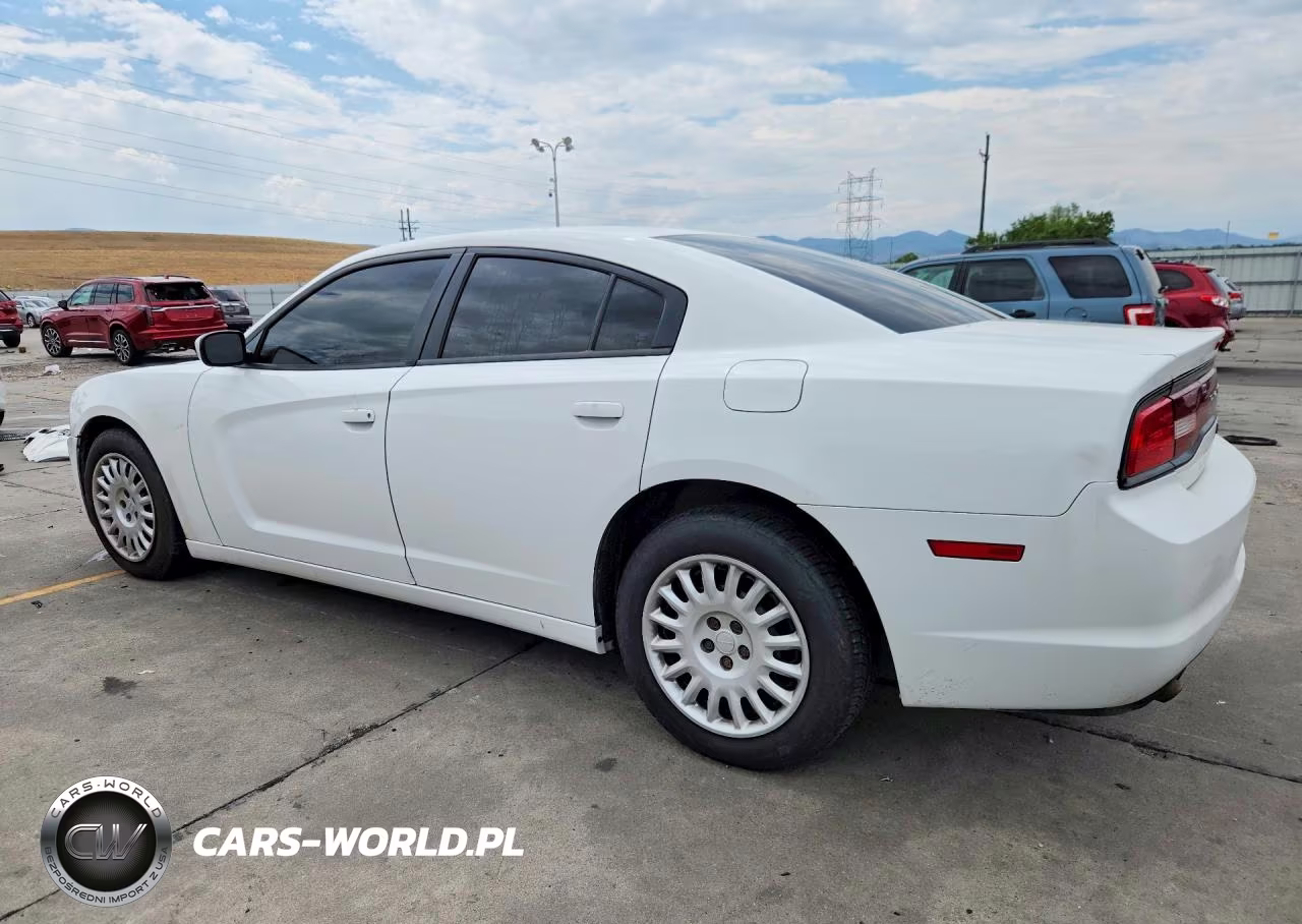 2014 Dodge Charger Police VIN:2C3CDXKT9EH319860 - 2