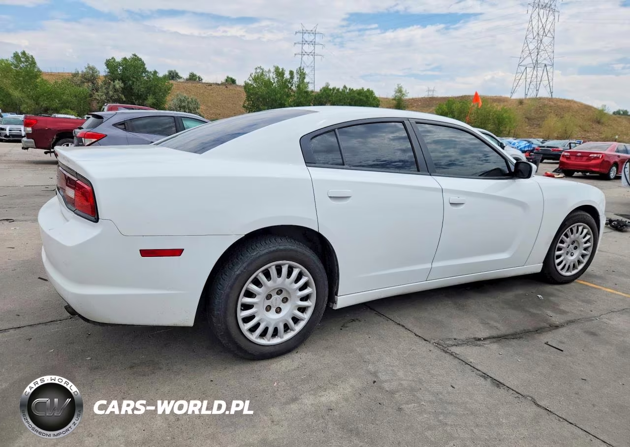 2014 Dodge Charger Police VIN:2C3CDXKT9EH319860 - 3