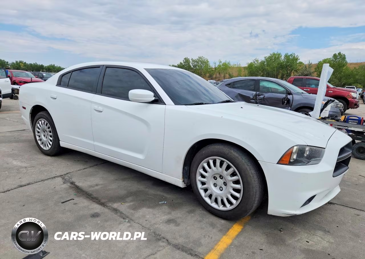 2014 Dodge Charger Police VIN:2C3CDXKT9EH319860 - 4