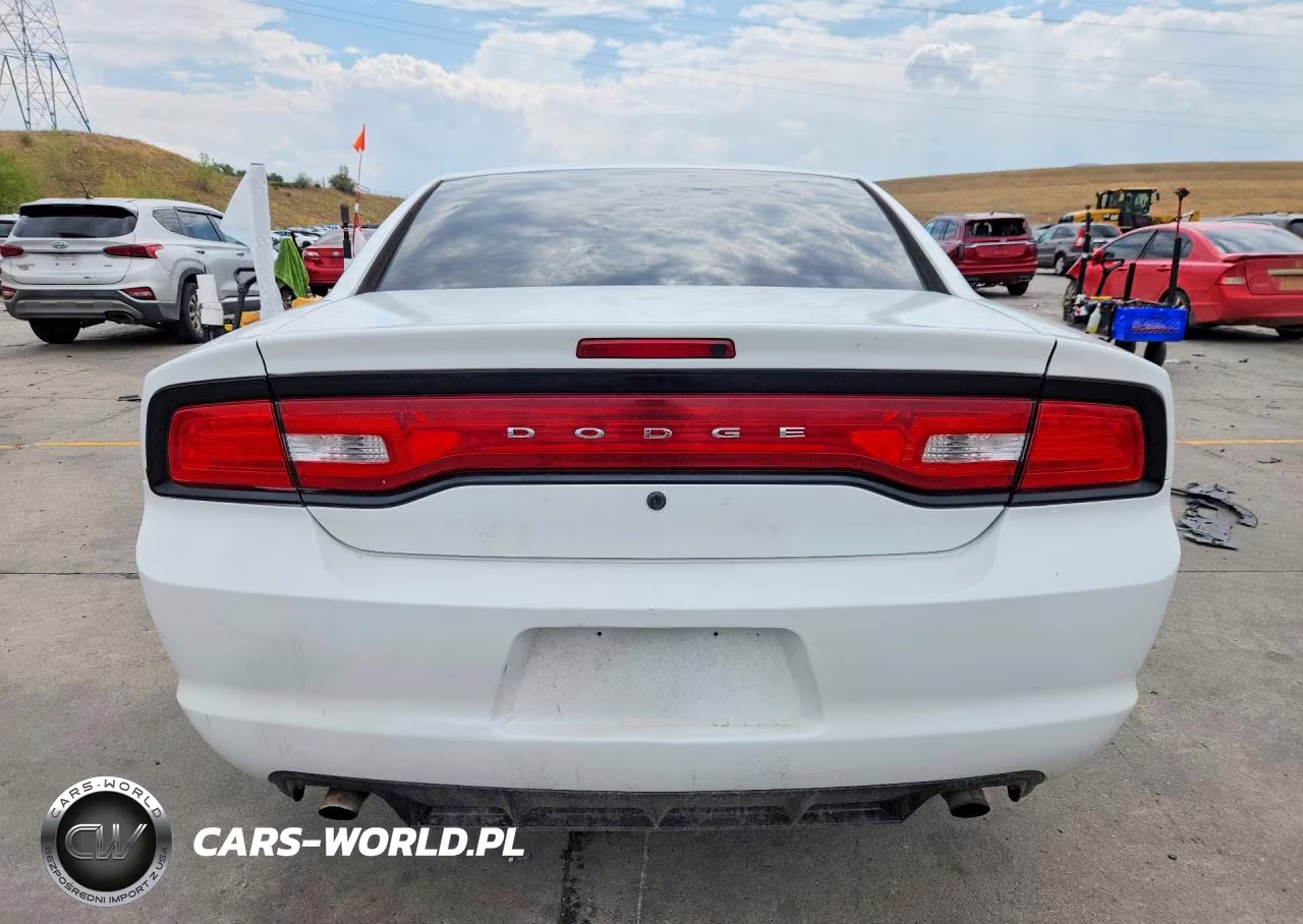 2014 Dodge Charger Police VIN:2C3CDXKT9EH319860 - 6