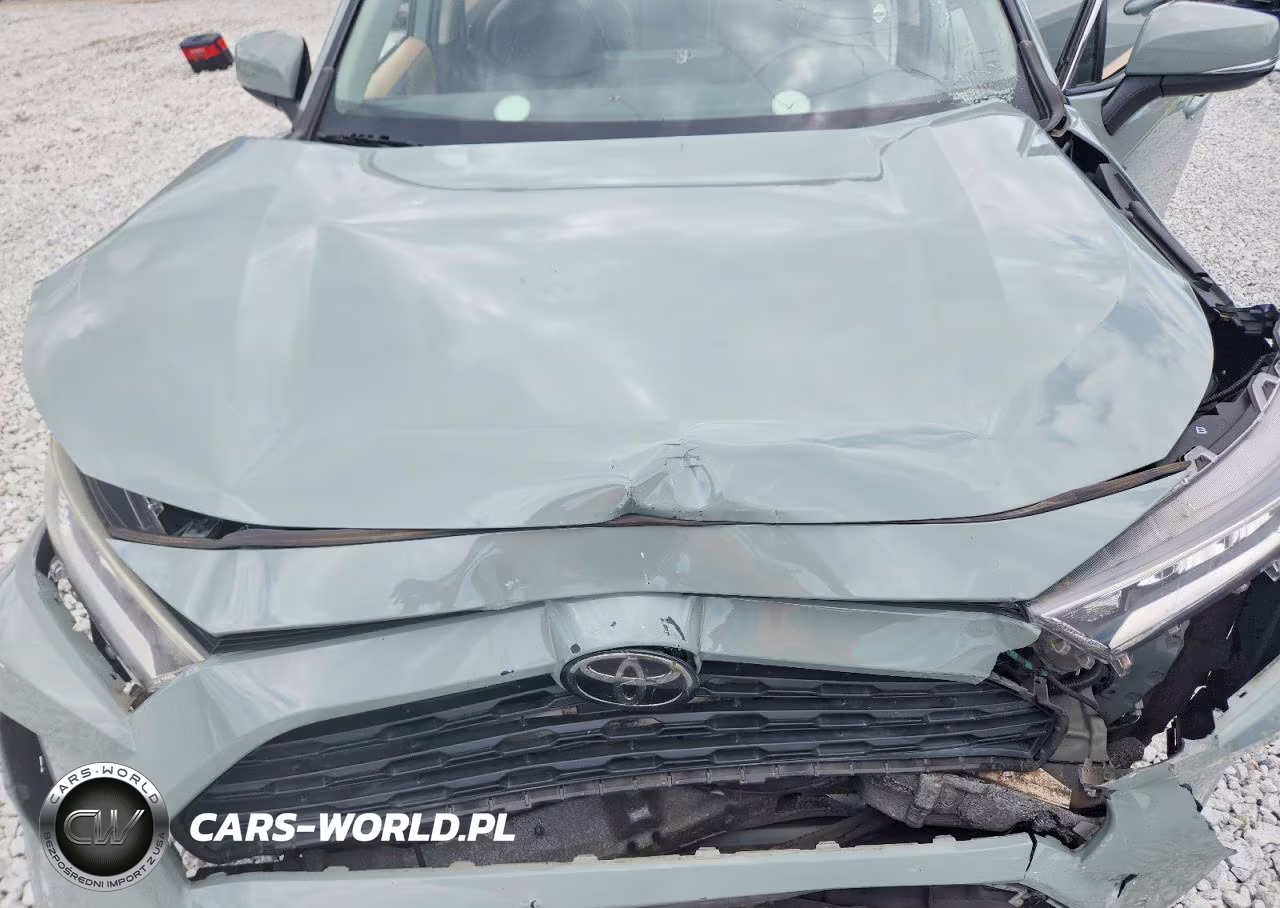 2019 Toyota Rav4 Xle VIN:JTMW1RFV6KD020831 - 12