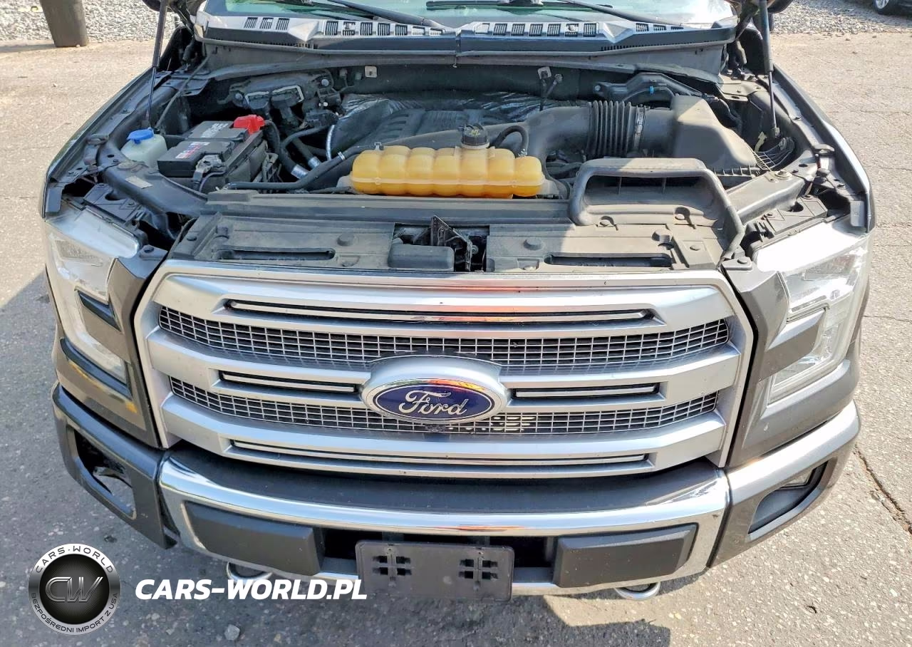 2016 Ford F150 Supercrew VIN:1FTEW1EG1GFB26441 - 11